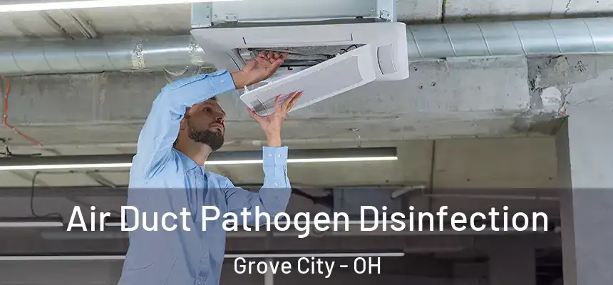 Air Duct Pathogen Disinfection Grove City - OH