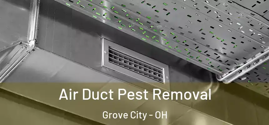  Air Duct Pest Removal Grove City - OH