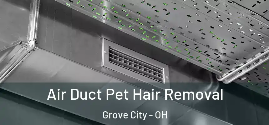 Air Duct Pet Hair Removal Grove City - OH