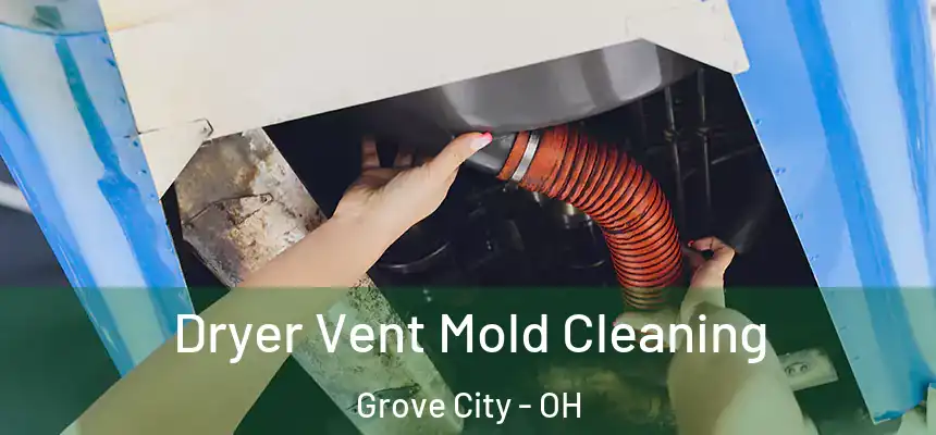 Dryer Vent Mold Cleaning Grove City - OH