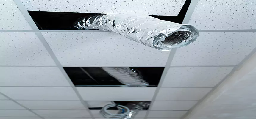 Our Air Duct Pet Hair Removal Services in Grove City, OH