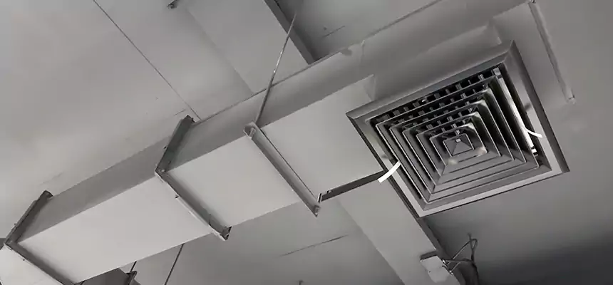 Our Rodent Droppings In Vents Services in Grove City, OH