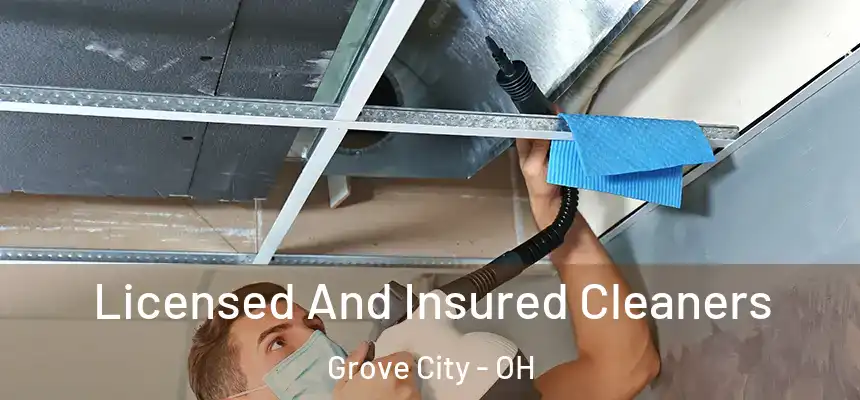  Licensed And Insured Cleaners Grove City - OH