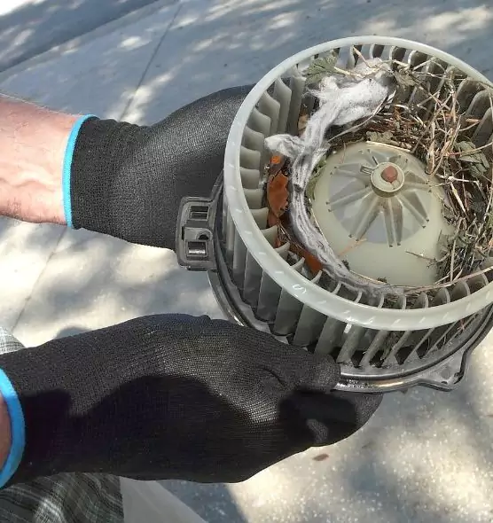 About Air Duct Mice Removal in Grove City, OH