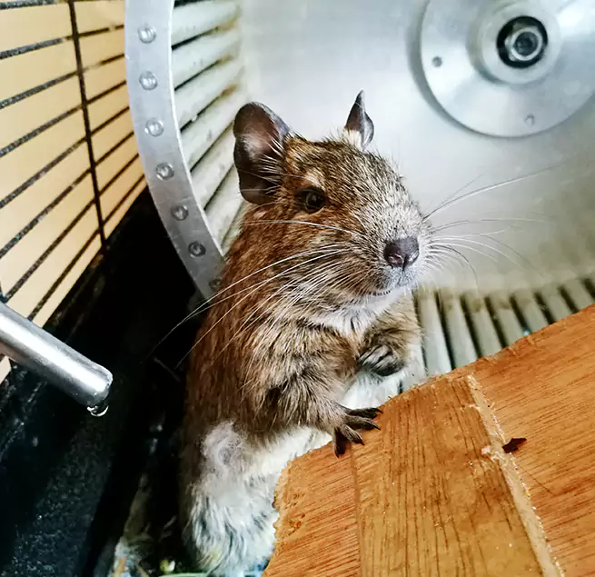 Why Homeowners & Businesses Trust Us Grove City, OH